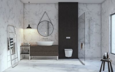 Rinnovare il bagno: tendenze e innovazioni nel design e nell’idraulica